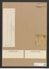 Diatomeae indet. Zeichnungen Sammlung Grunow Nr. 4411 (NHMW-BOT-W0372575)